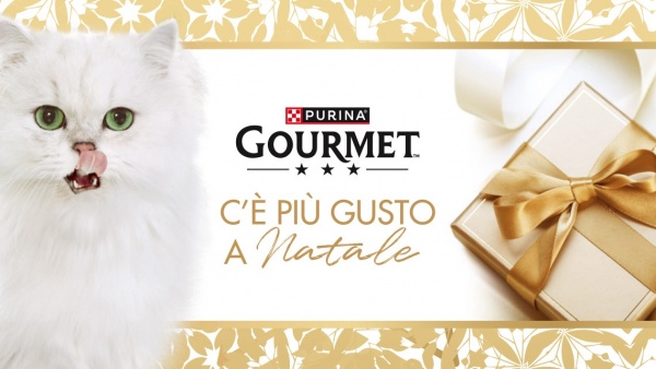 The Christmas project by ATC and Gourmet for the grocery channel