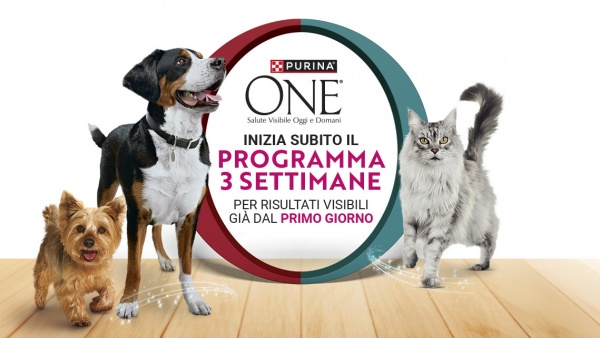 Visual of Purina One 3 Week Challenge with cat and dogs