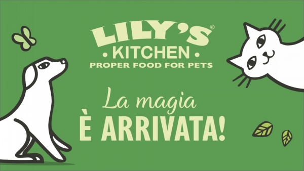 The creativity for the asset created for Lily's Kitchen