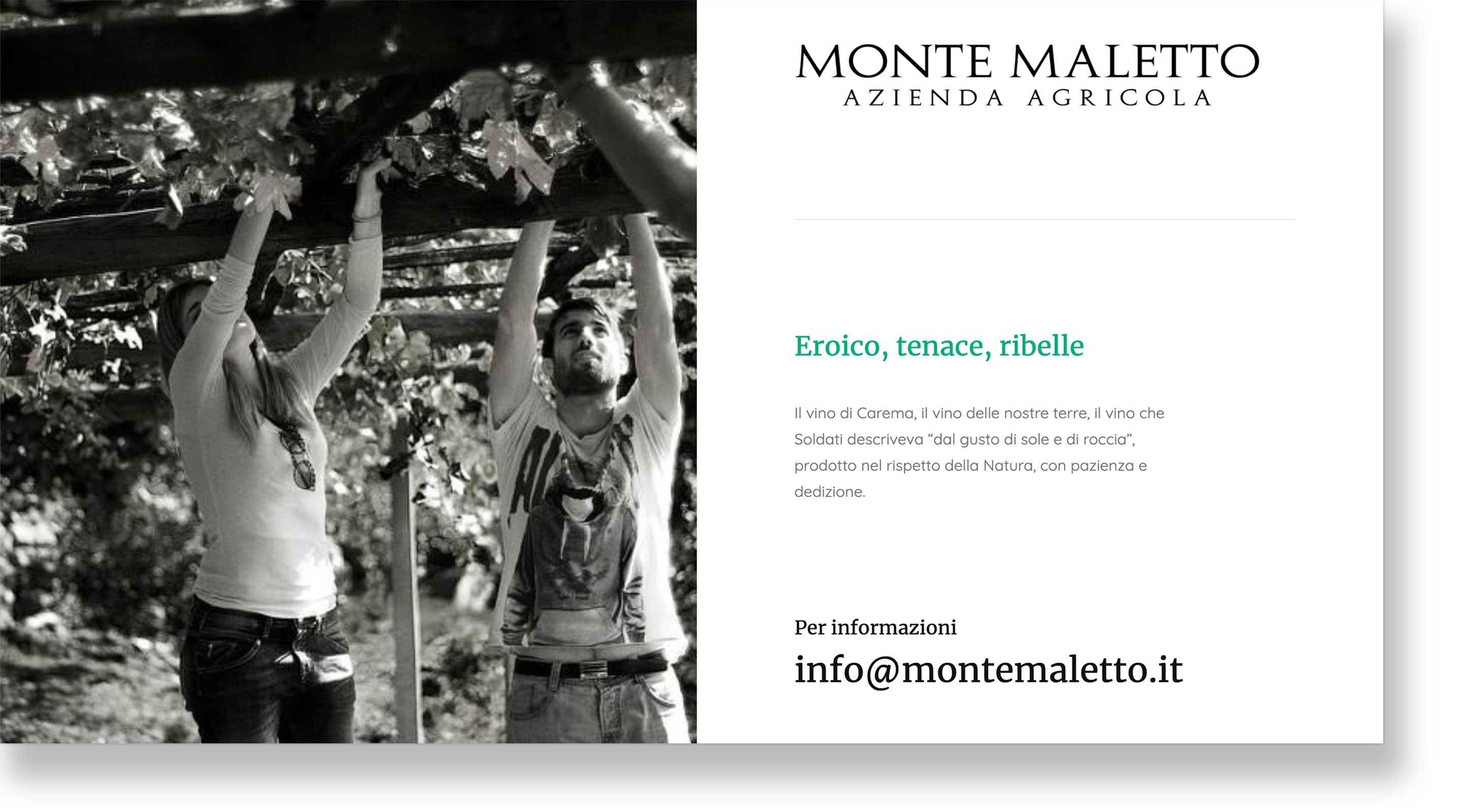 Monte Maletto winery, founded 2014.