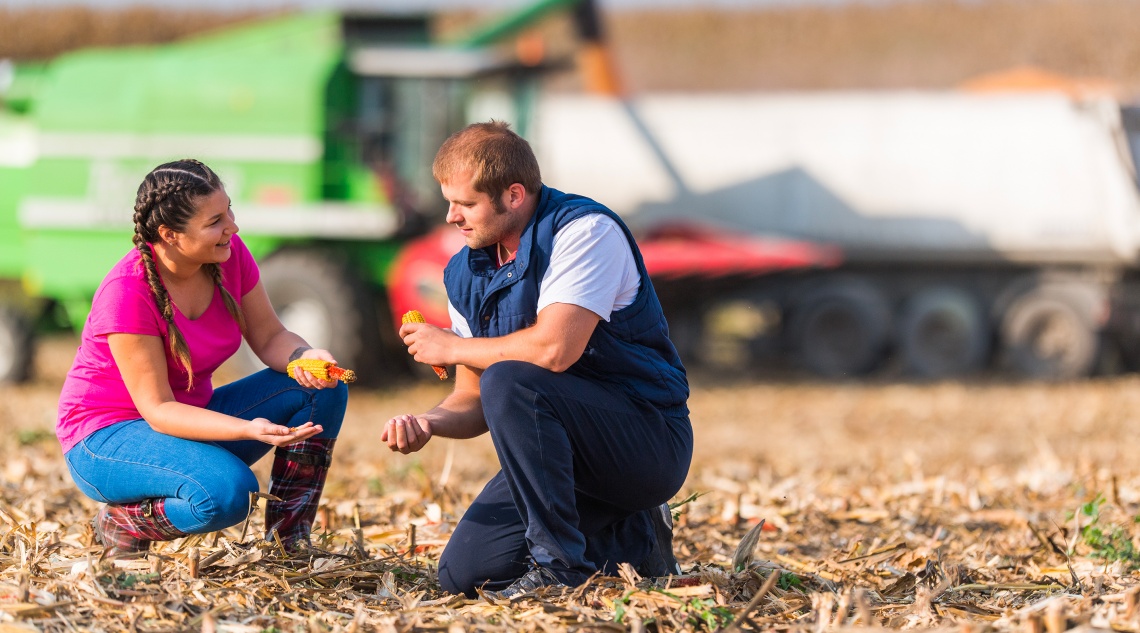 The young future on the agri-food industry, between tradition and innovation.