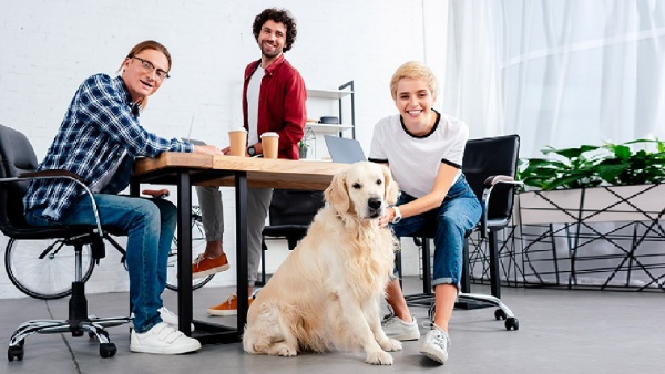 Start-ups that now combine innovation and pet care