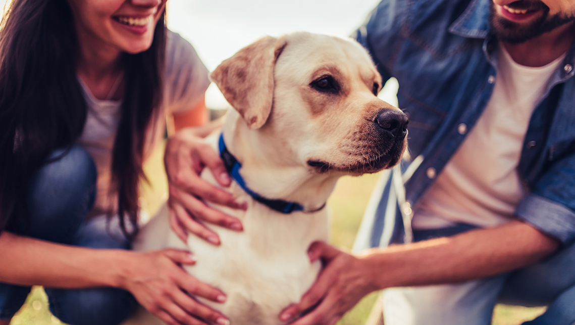 The value of pets in families