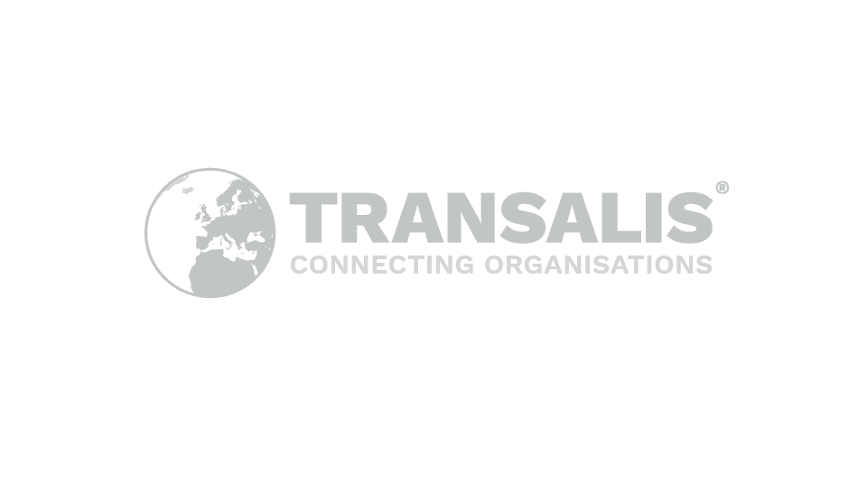 Transalis logo and brand System evolution