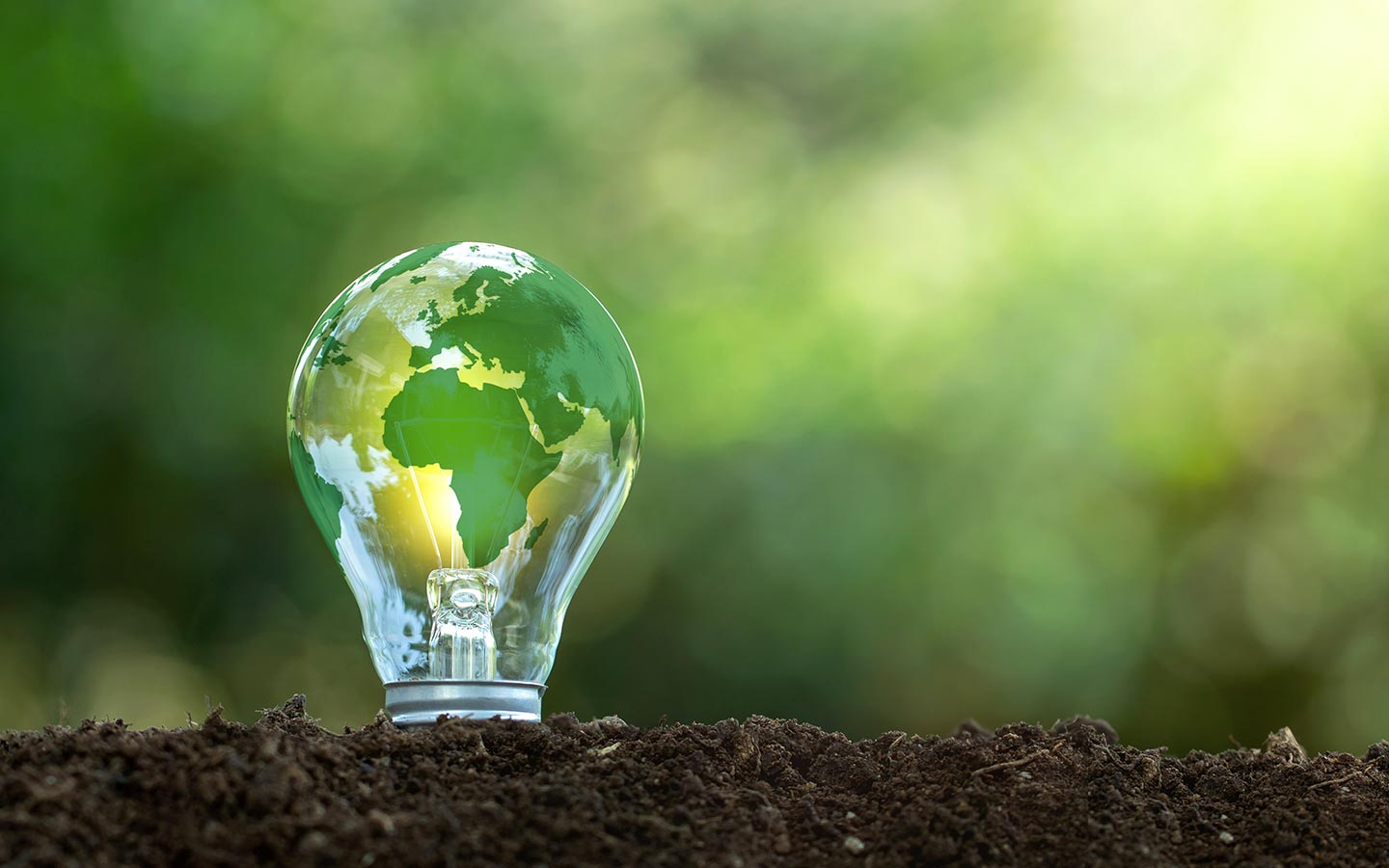 Innovative ideas put into practice to defend the environment affect the future of the whole world.