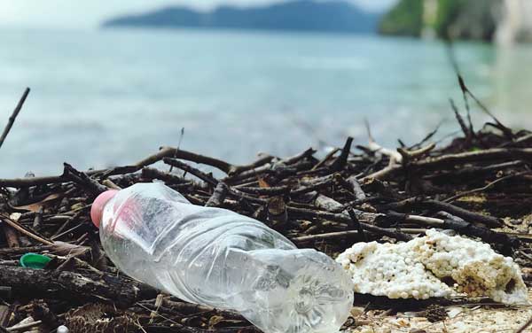 sustainable reusable and responsible packaging- trends 2021