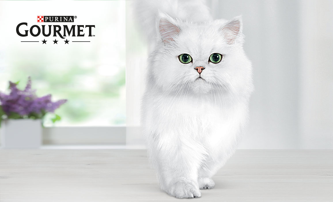 concept branding storytelling below the line Purina Gourmet