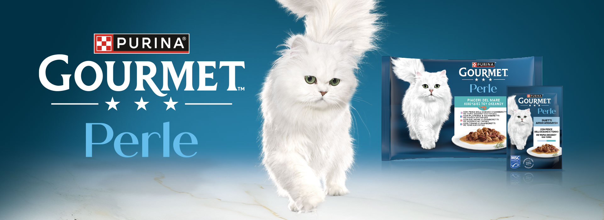 The graphic mood for Purina Gourmet Perle relaunch