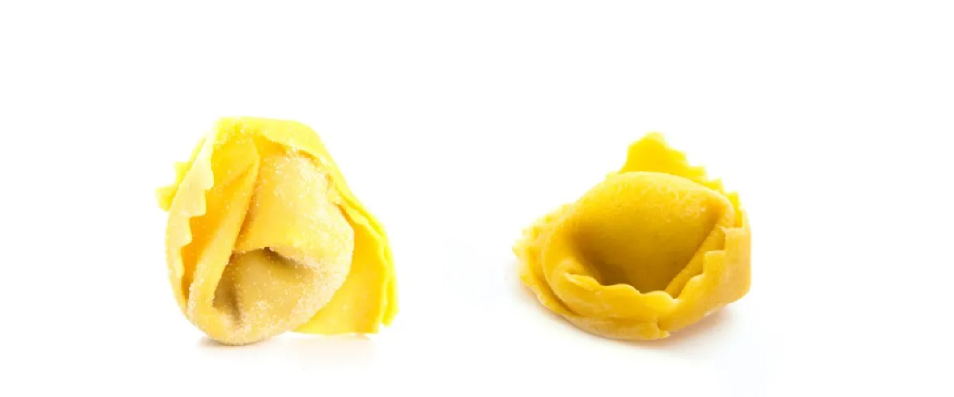 tortellini concorso online Fini con noi a Modena