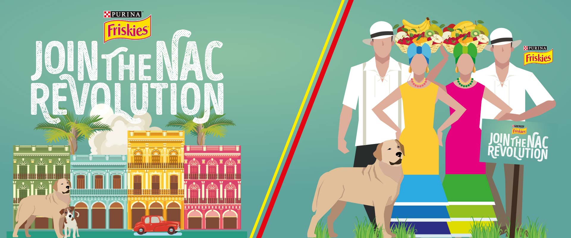 graphic design Purina