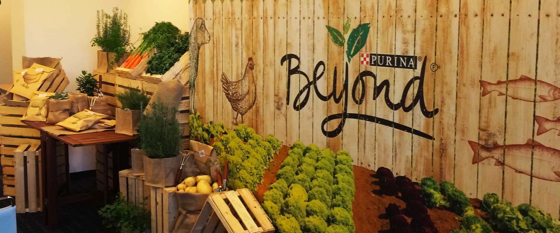 Purina Beyond internal event