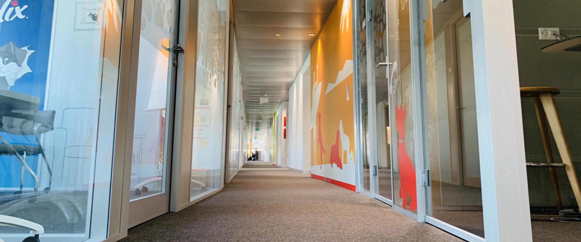 Purina office decoration in Vevey