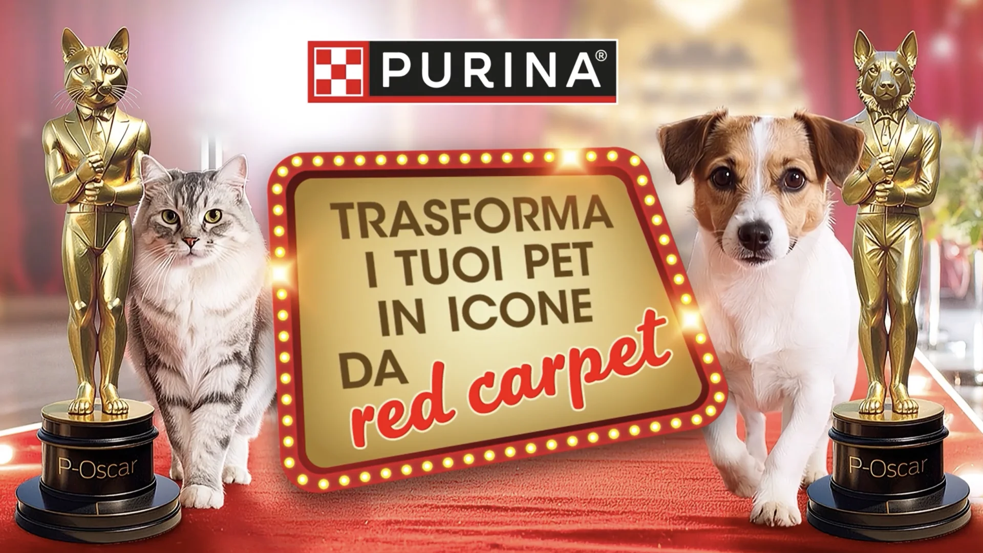La prima attivazione via newsletter ideata da ATC per il piano CRM di Purina