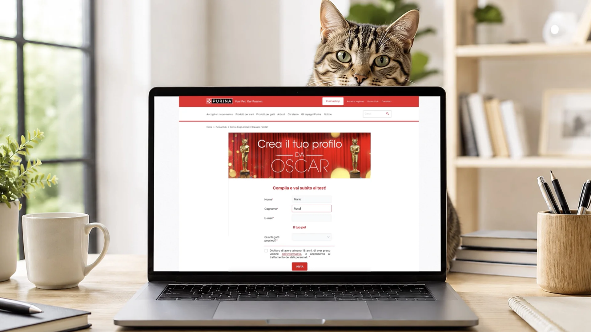La fase di profilazione utenti per la segmentazione in target e la differenziazione negli invii delle newsletter Purina