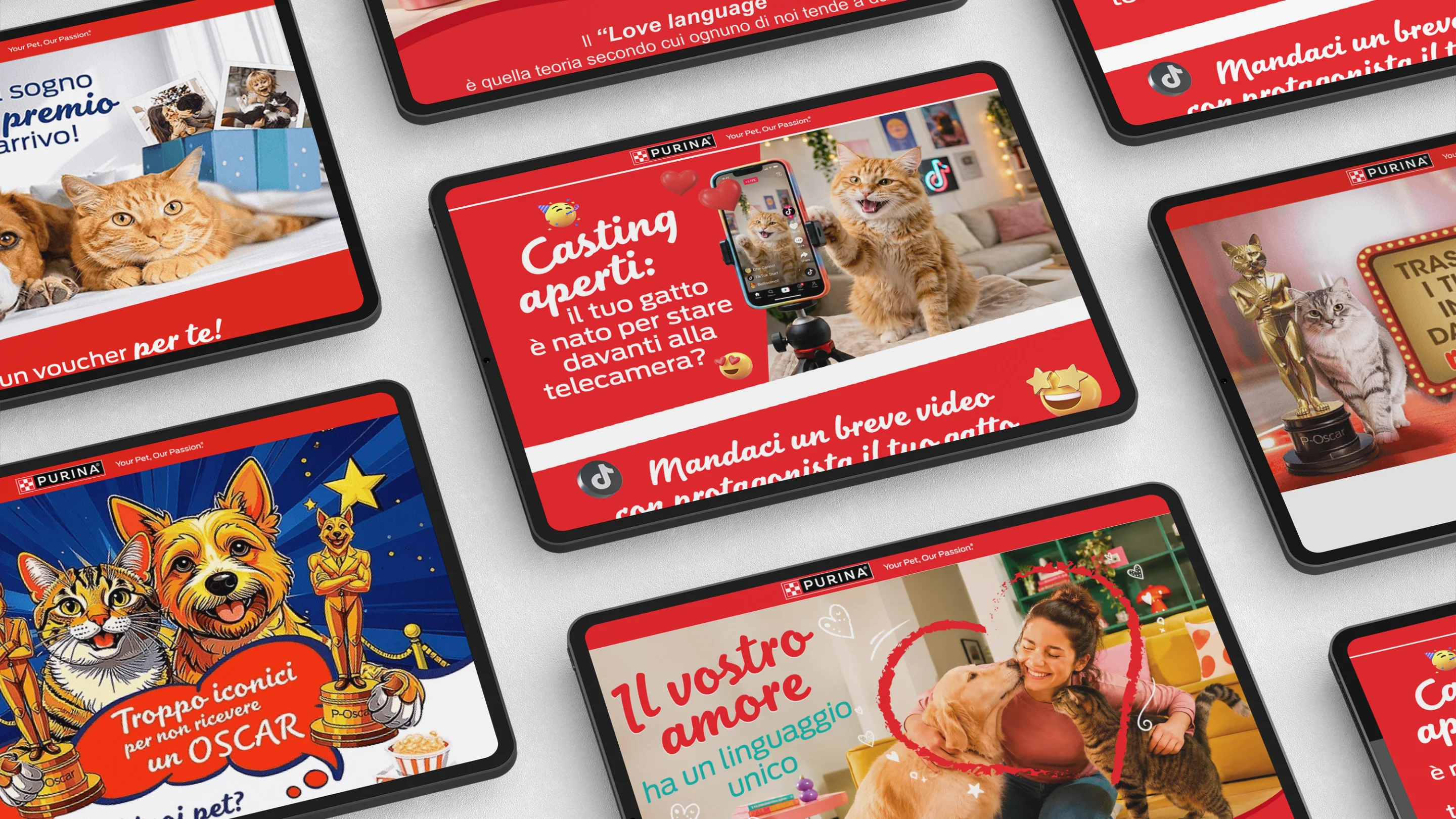 I key visual ideati per la newsletter saga Purina, a cura di ATC