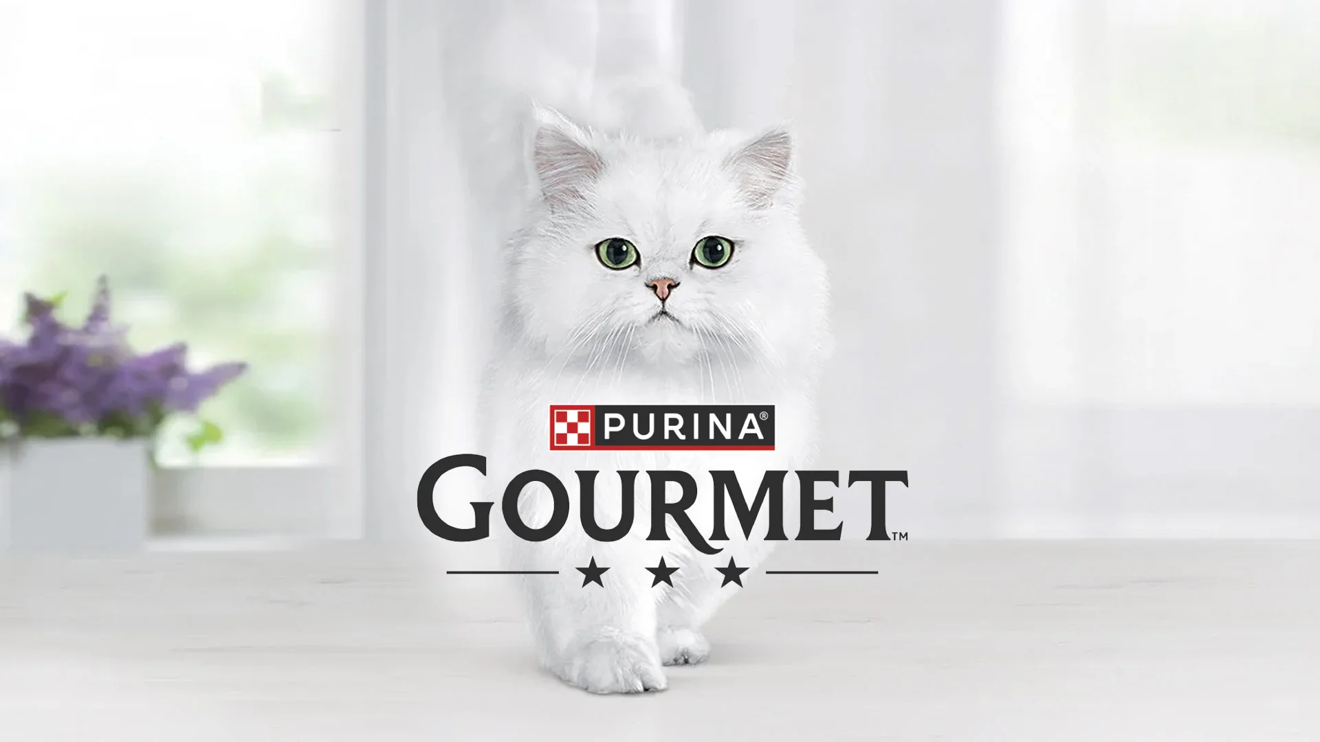 L'expertise di ATC nel petfood per Purina Gourmet