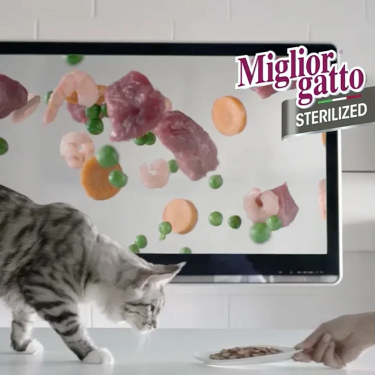 Lo spot Miglior Gatto Sterilized realizzato da ATC