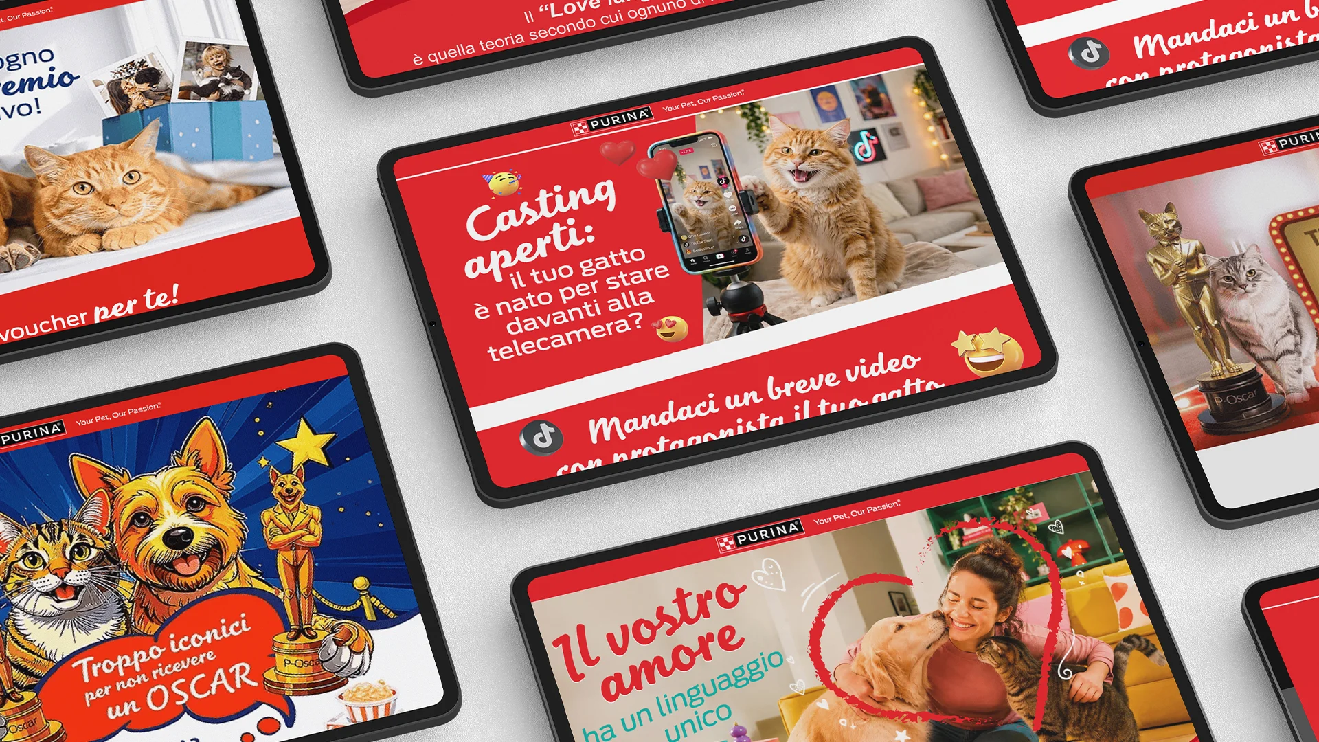 Le newsletter dem creative per il piano digital CRM 2026 di Purina