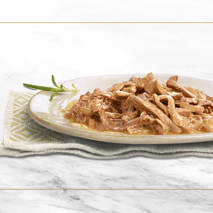 Il petfood umido per gatti come parte dell'expertise di settore di ATC