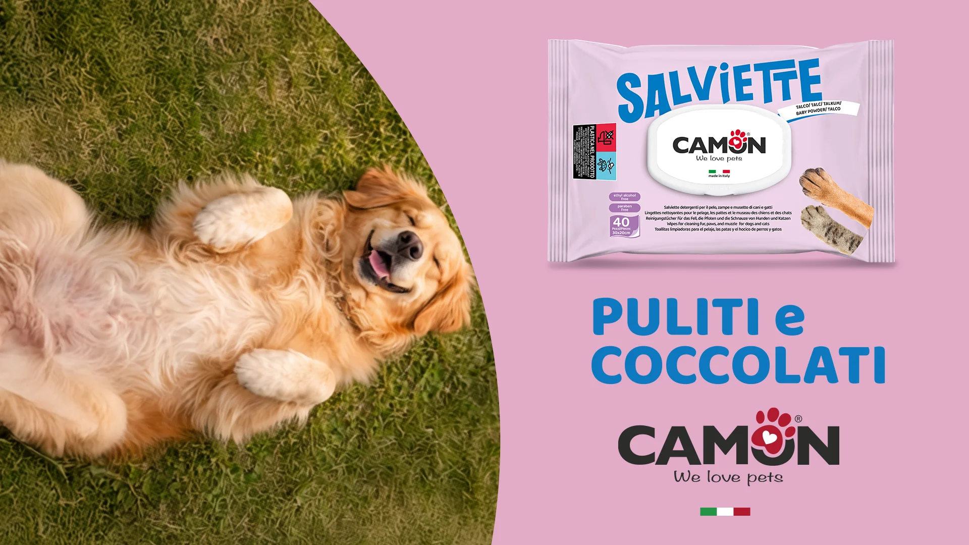 Banner per campagna digital realizzata per il brand di pet care Camon&Croci