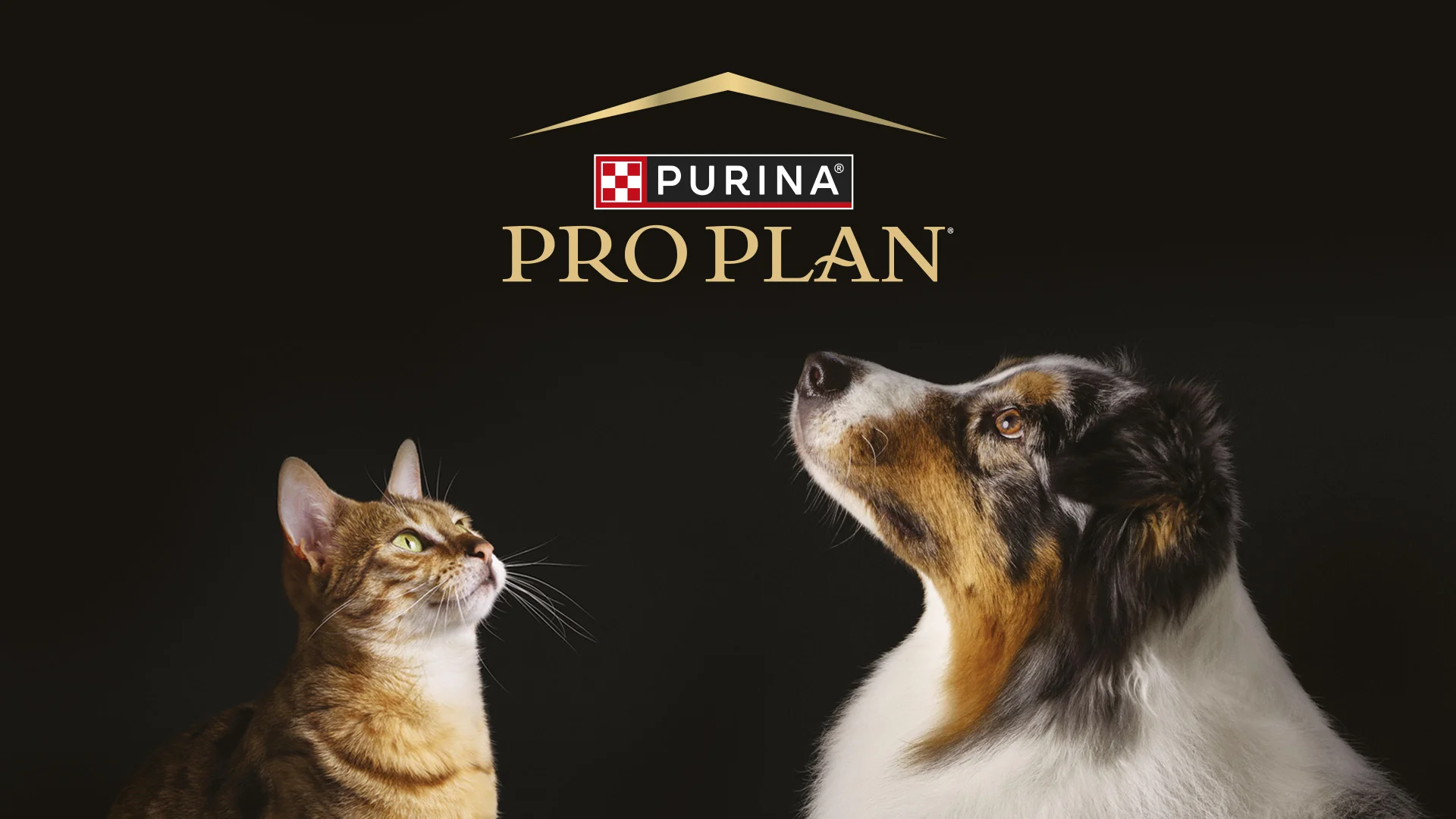 L'expertise nel petfood di ATC per i progetti Purina Pro Plan