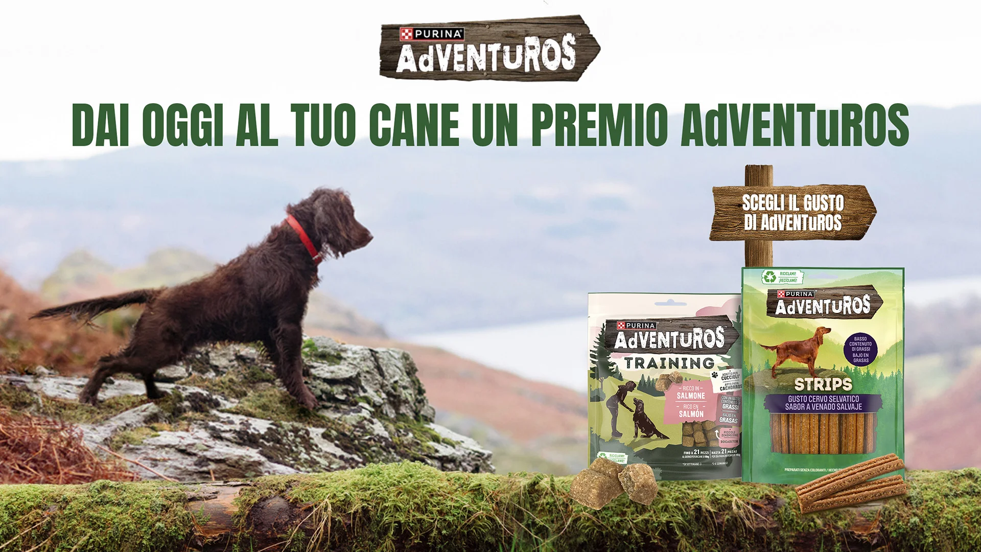 L'expertise nel petfood di ATC per i progetti Purina Adventuros